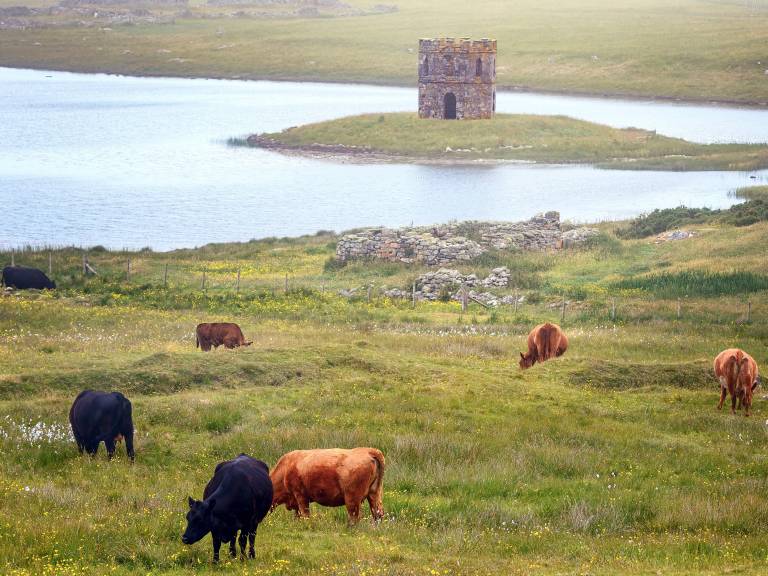 Cottage Lochmaddy