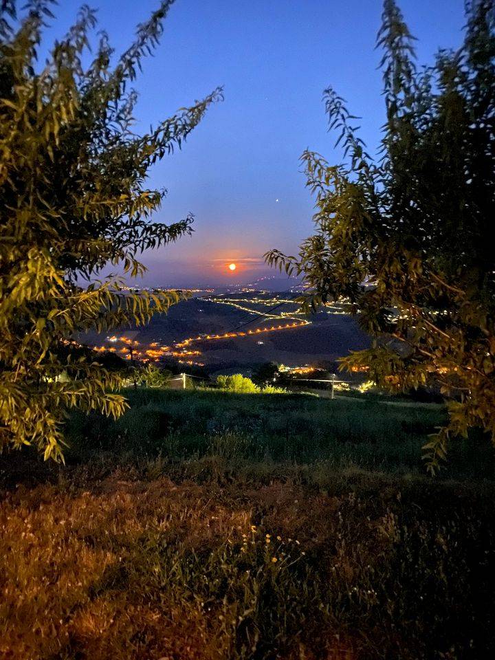 foto13