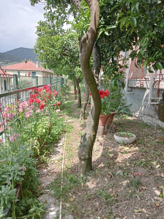 foto13