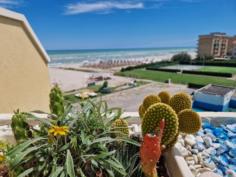 Appartamento vacanza Senigallia