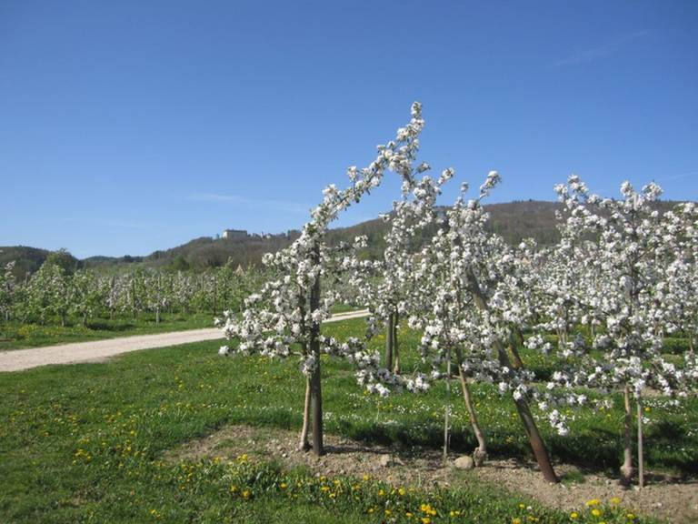 foto6