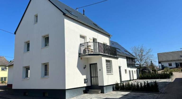 House with 5 rooms for 10 persons in Bad Bertrich