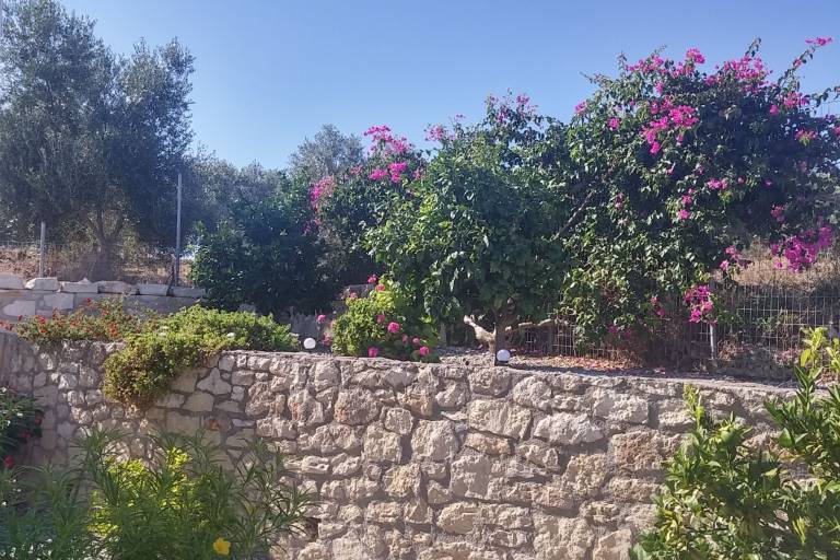 foto19