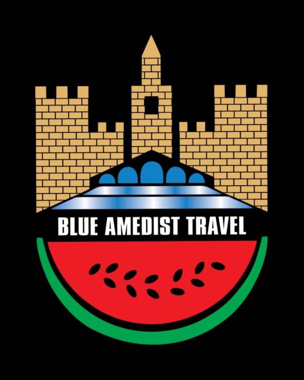BLUE AMEDİST HOTEL in Istanbul