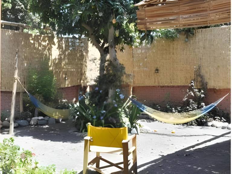 foto8