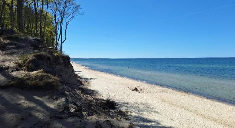 Apartment | Beach nearby | Pets allowed — photo 5