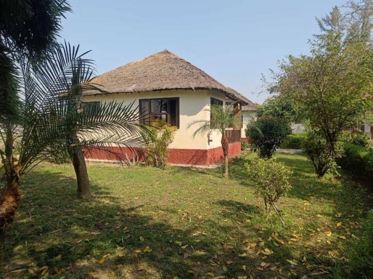 foto19