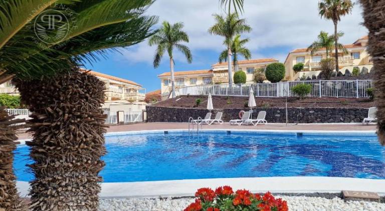 Fully equipped charming rental apartment with terrace, yard & pool | Dogs allowed in Santa Cruz de Tenerife