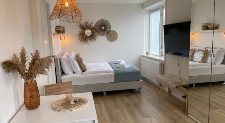 Charming apartment | Close to the beach | Dogs allowed in Zandvoort