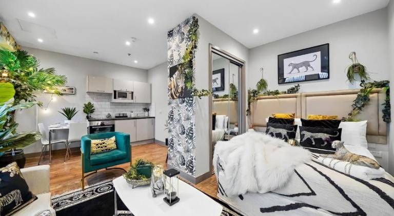 Boho Jungle - Luxury 1bed Apt- Long stay Discounts in Maidstone