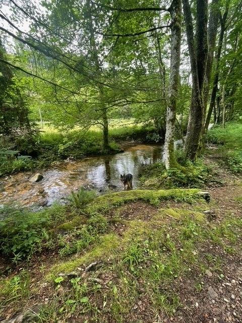 foto34
