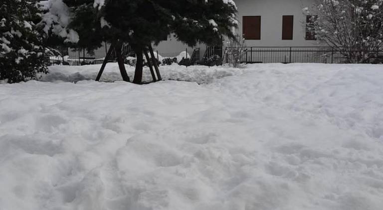 foto45