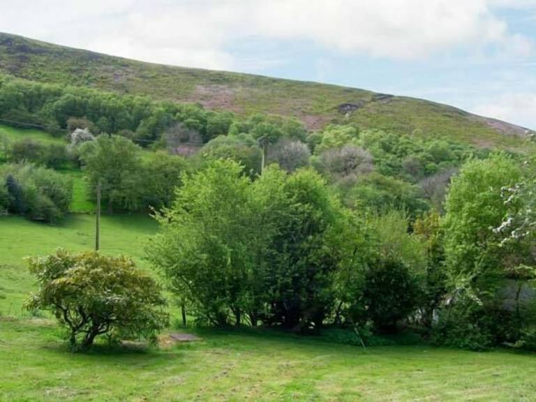 Cabin  Minsterley