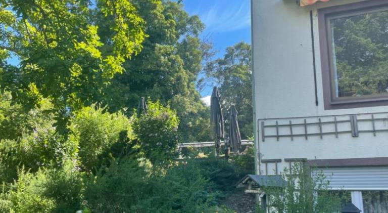 foto19
