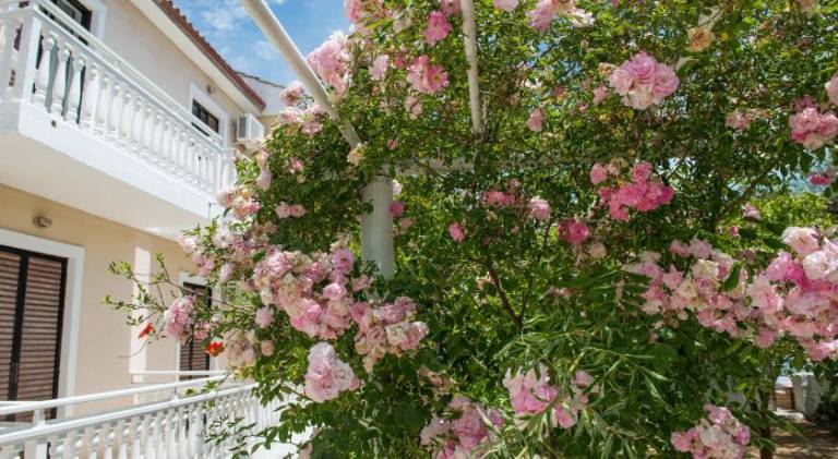 Holiday apartment with garden & terrace in Zakynthos