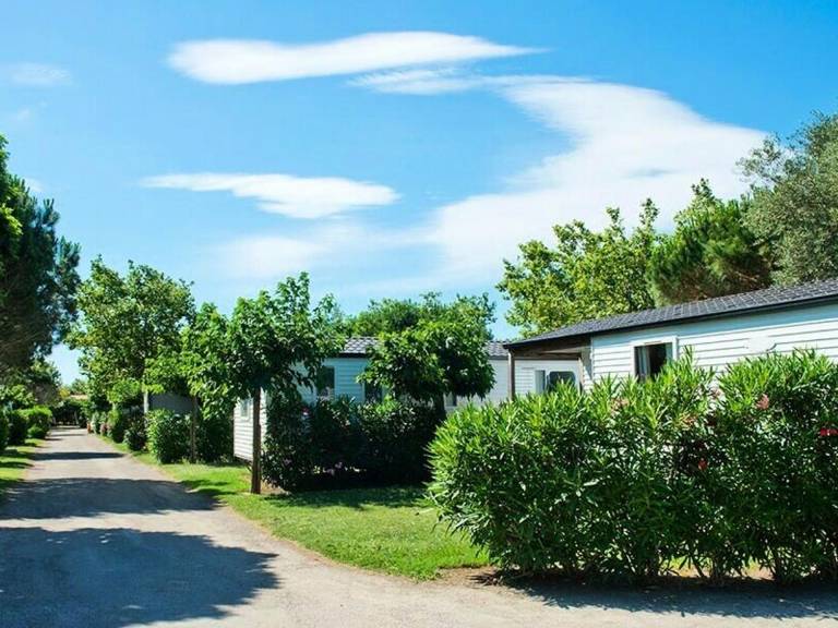 Mobil-home  Saint-Cyprien