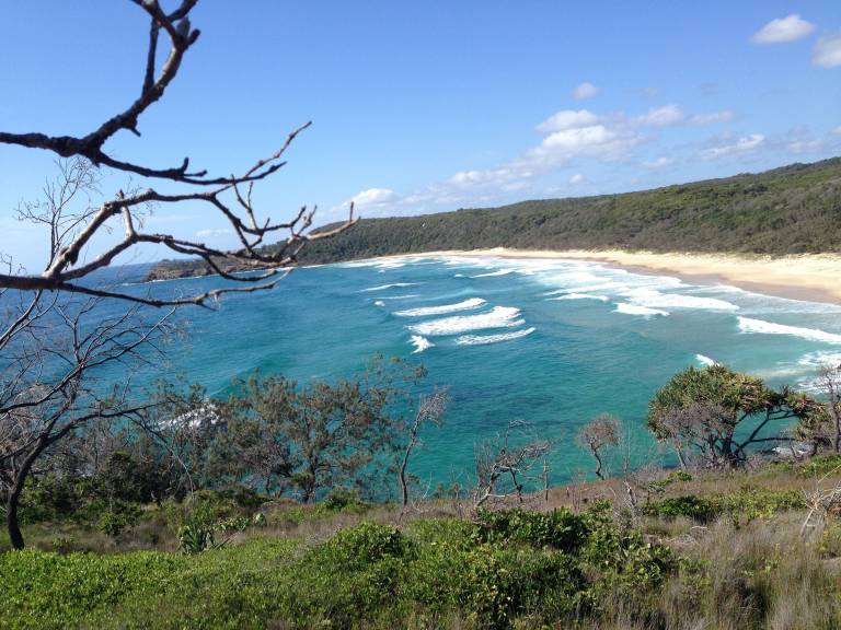 Bed and breakfast Whale Beach
