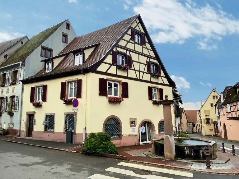foto7