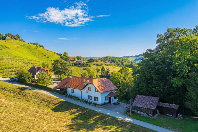 Ferienhaus Gradišča