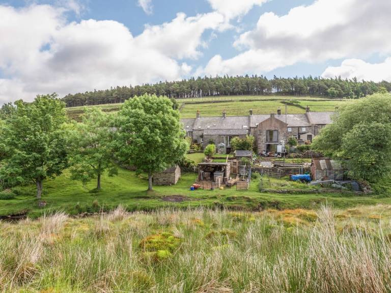 Cottage Allendale
