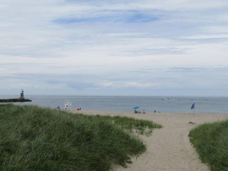 Sole East Beach in Montauk, NY