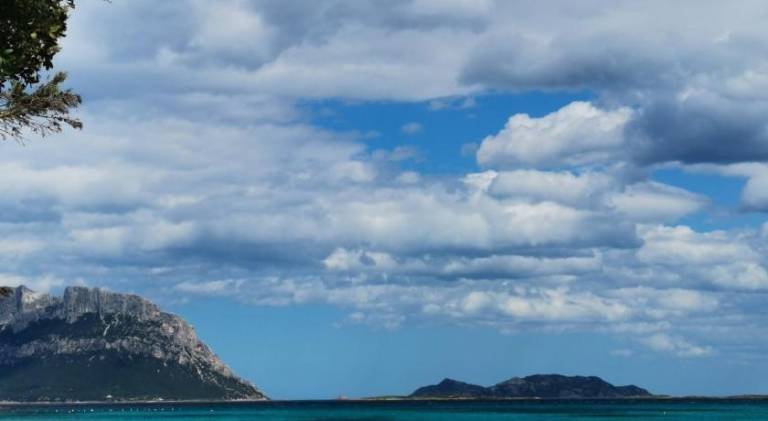 Beautiful vacation home | Pets allowed in Olbia