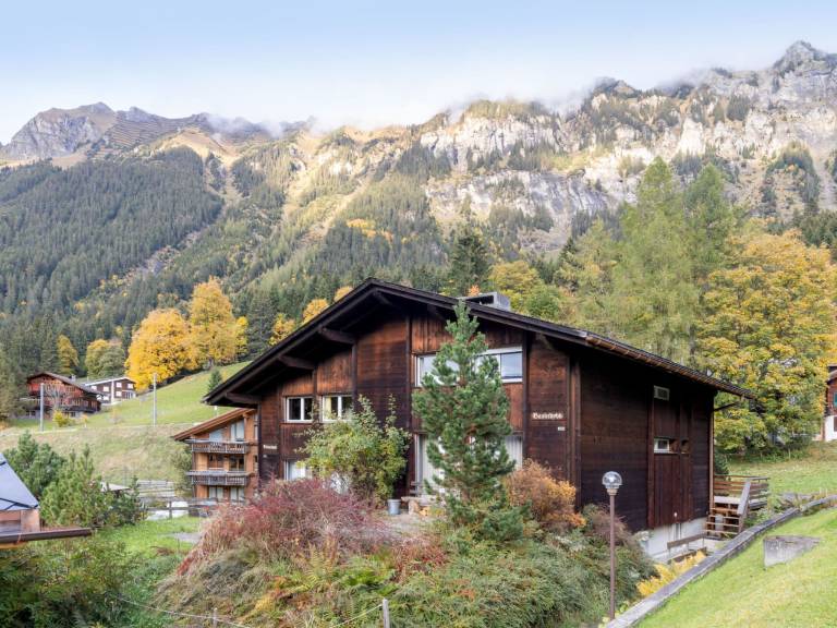 Child-friendly holiday apartment with garden & terrace | Mountain view | Next to the ski | Dogs allowed — photo 5