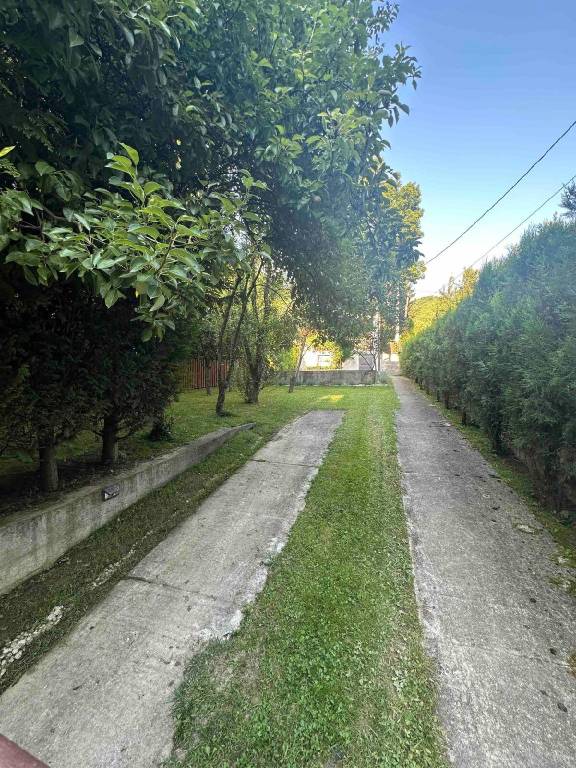 foto20