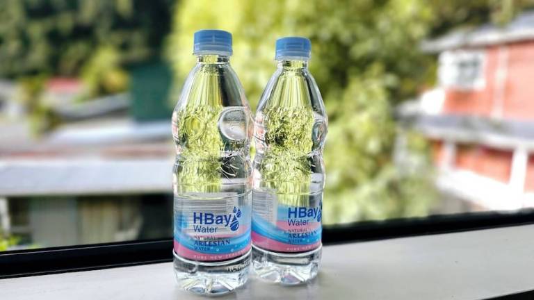 Lodge  Franz Josef Glacier