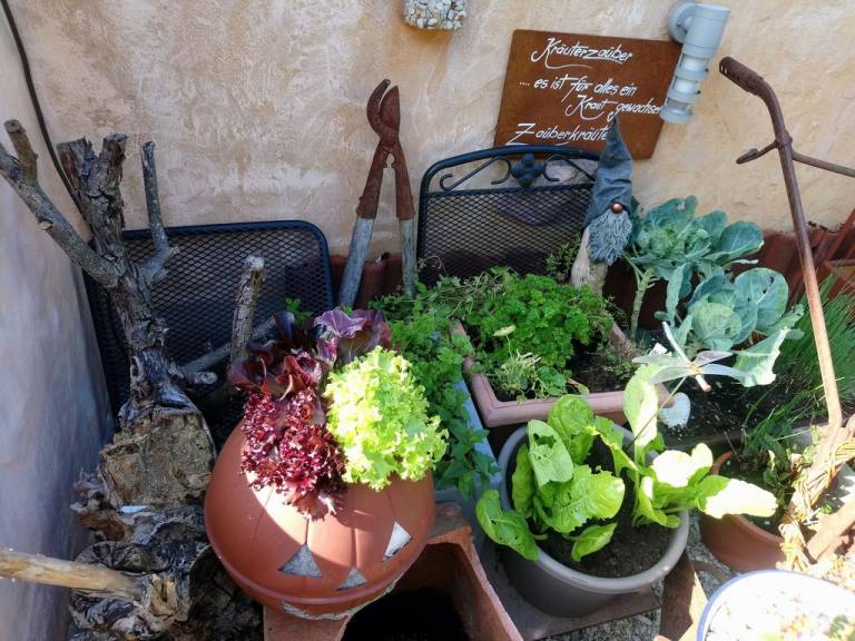 foto29
