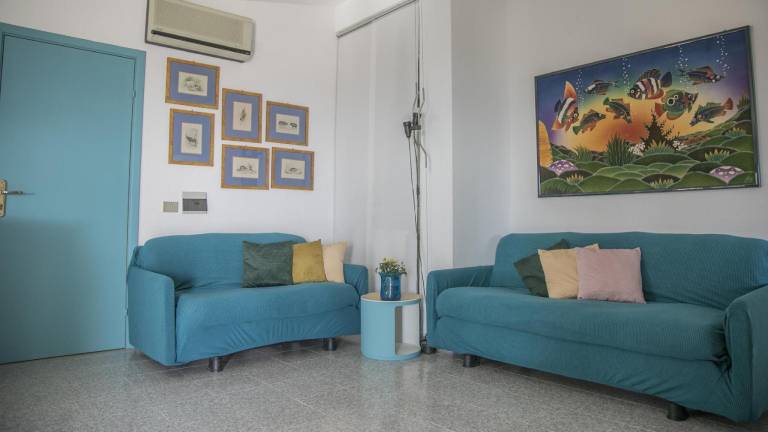 Charming rental apartment | Pet-friendly — photo 5