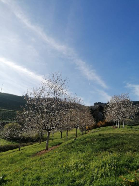 foto47