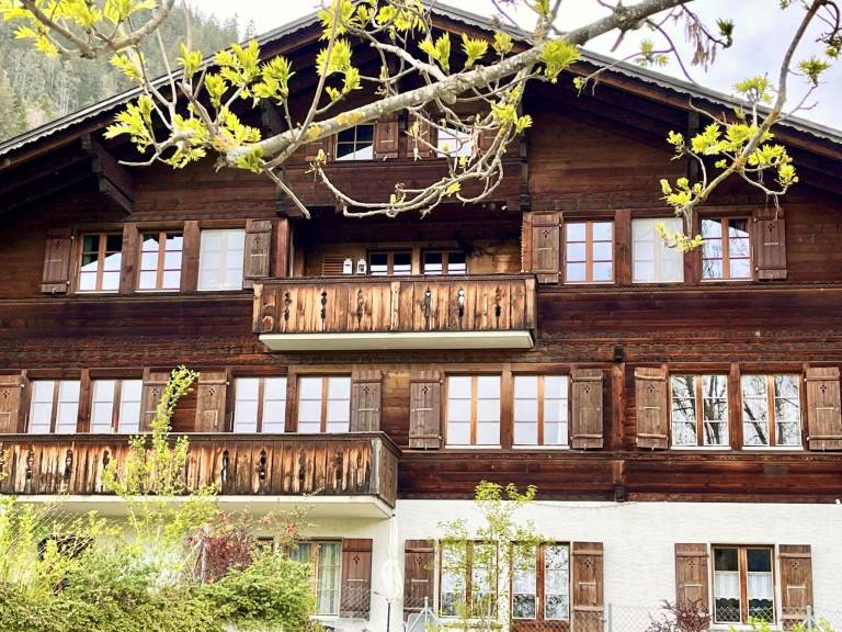 Ferienwohnung mit Hund in Zweisimmen f&uuml;r max. 4 Personen