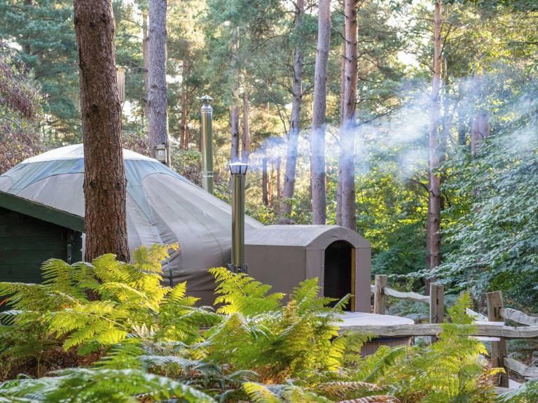 Cottage Withyham