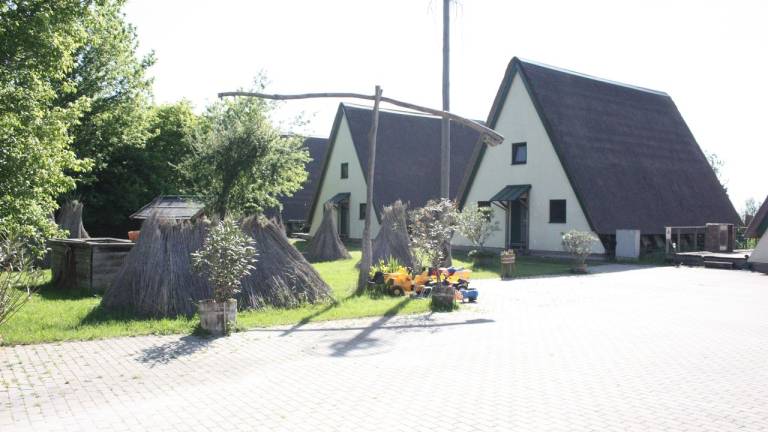 foto1