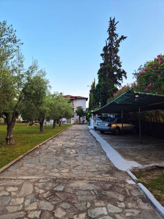 foto10