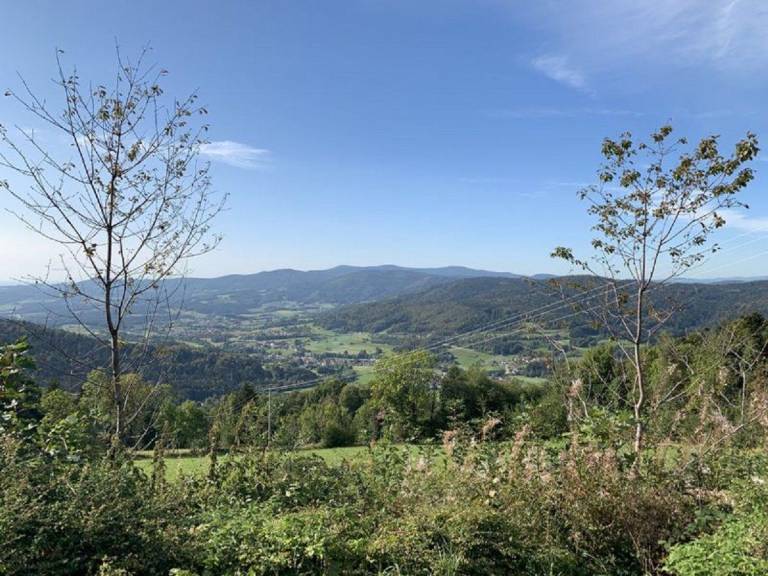 foto12