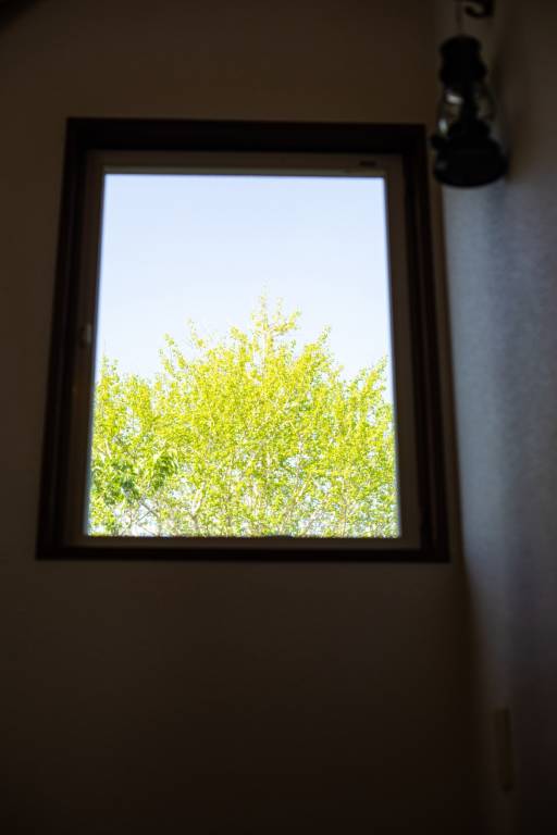 foto16