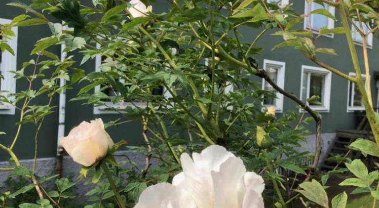 foto8