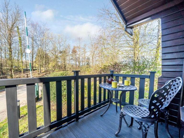 Lodge with yard — photo 2