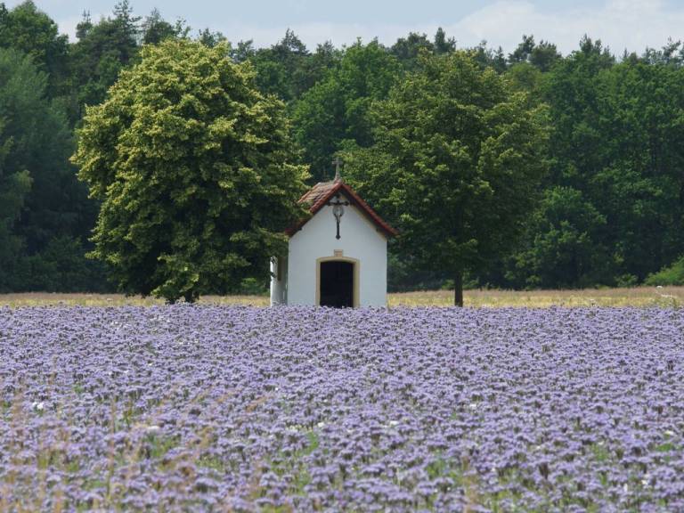 foto24