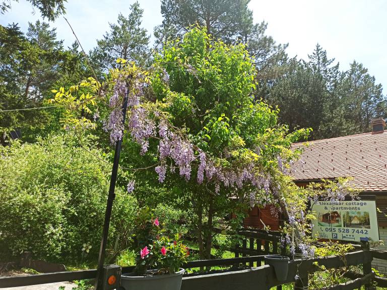 Apartment in Rudanovac, Region Lika-Senj, Kroatien