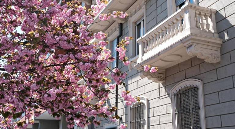 Holiday apartment with 1 room for 2 persons in Turin