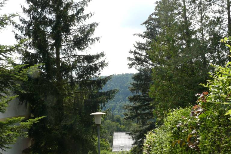 foto21