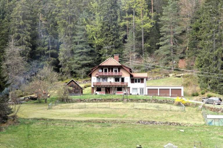 Ferienhaus  Enzklösterle