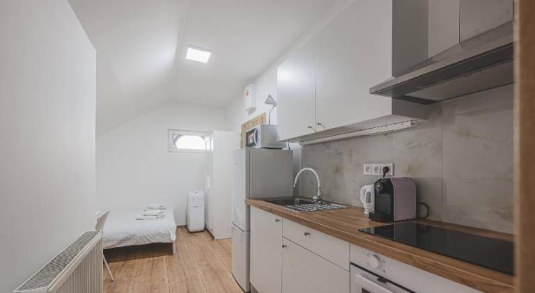 Beautiful rental apartment | Next to Dancing House | Pets are welcome in Prague