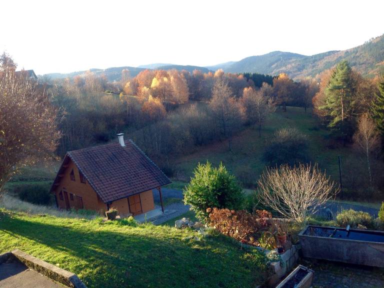 foto12