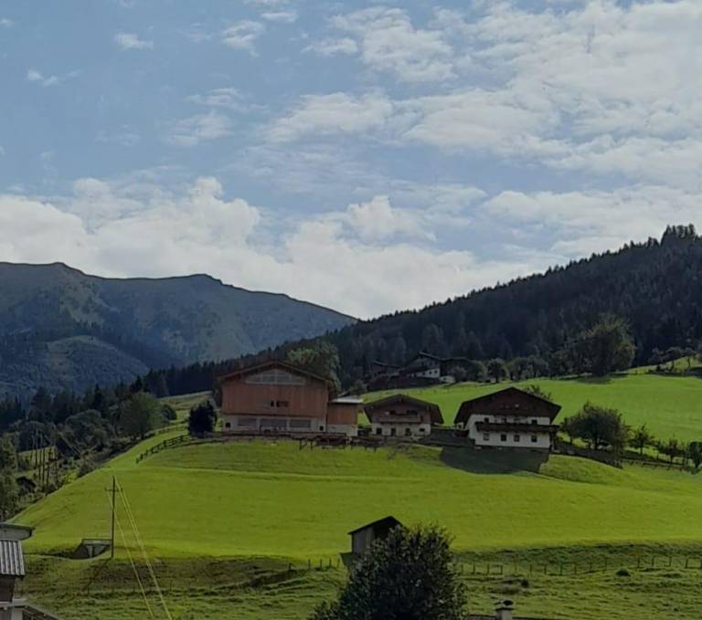 foto12