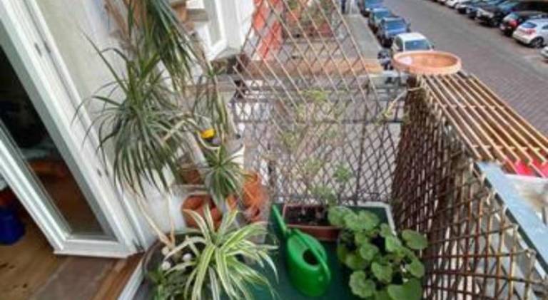 Rental apartment | Pet-friendly — photo 3