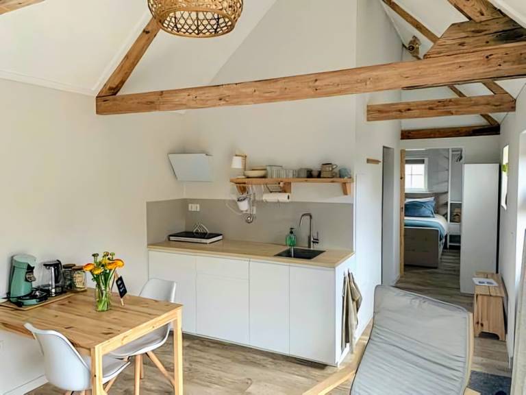 ZE1556 Ferienhaus im Gapinge